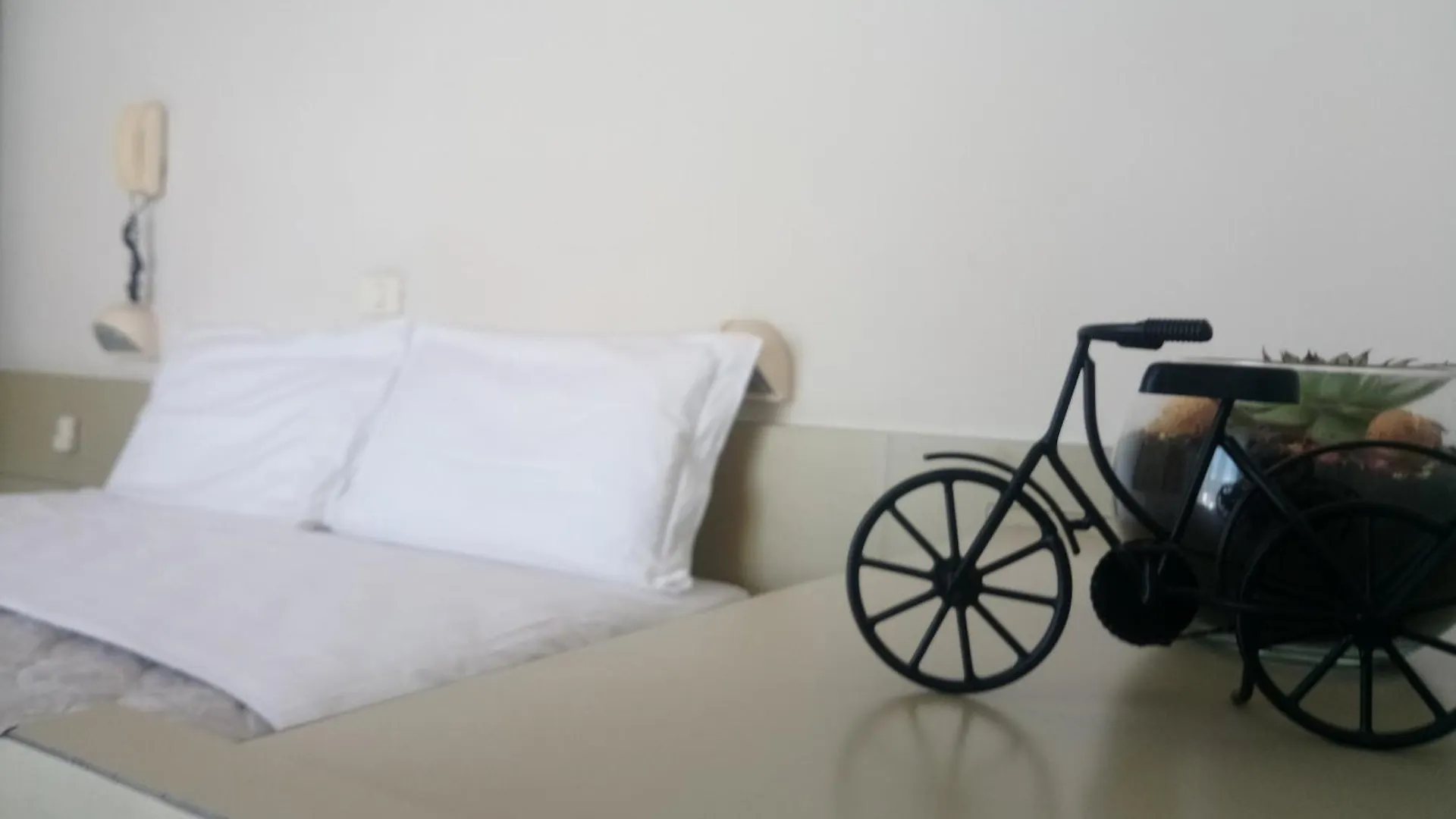 Hotel Welt Gatteo a Mare 3*,